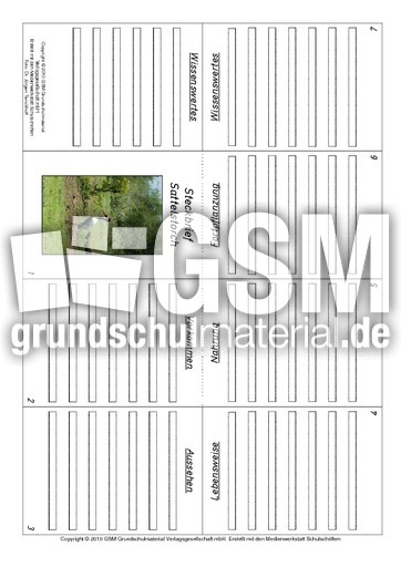 Faltbuch-Sattelstorch.pdf